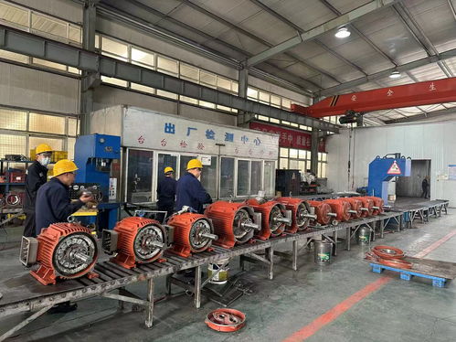 江西地區(qū)選用專業(yè)可靠的YZP系列冶金起重變頻電機(jī)服務(wù)商指導(dǎo)